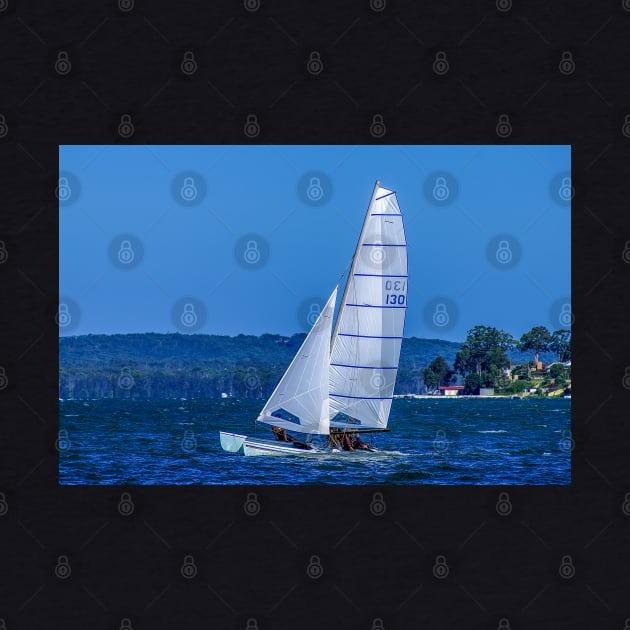 Hobie Cat Sailing by Upbeat Traveler